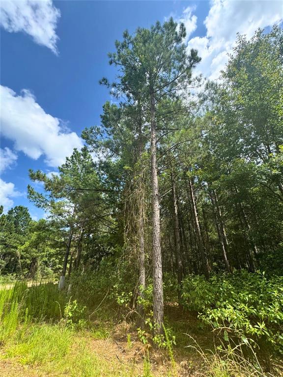 96 Hochapine Trail