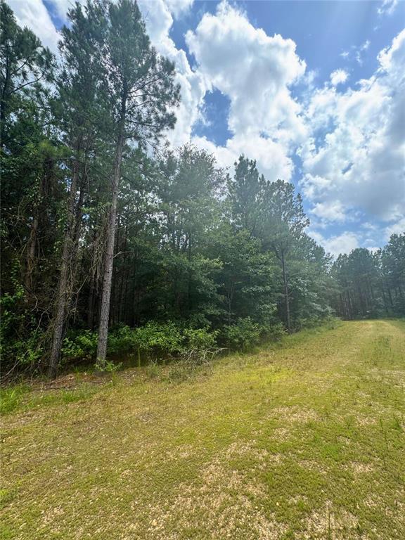 96 Hochapine Trail