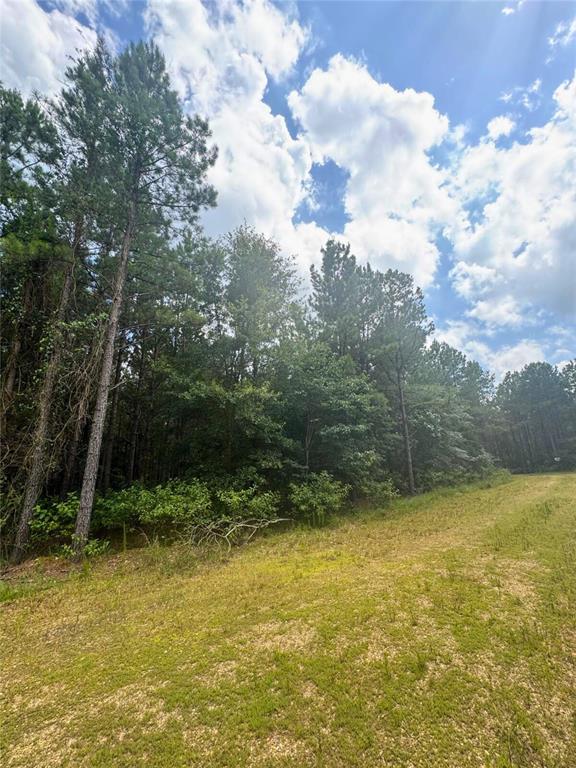 96 Hochapine Trail