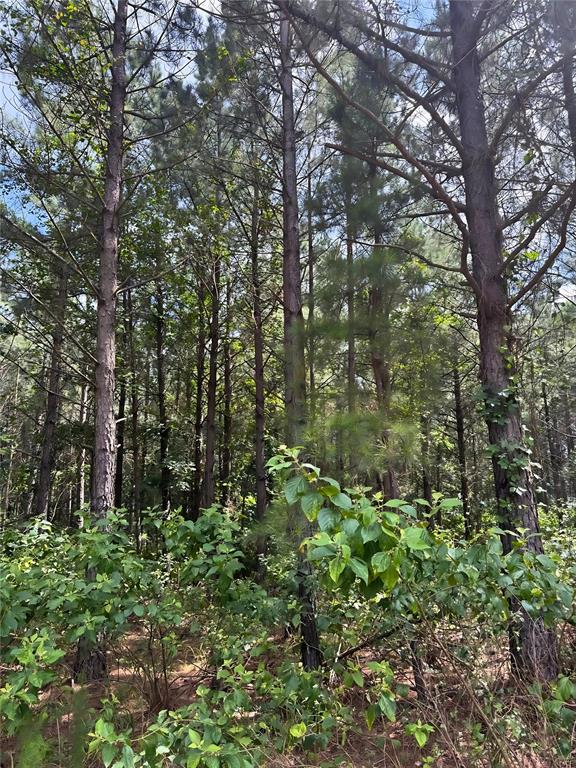 96 Hochapine Trail