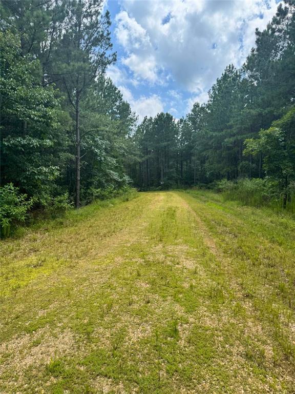 96 Hochapine Trail