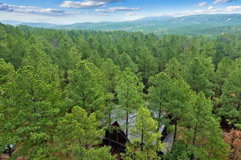 232 Carter Valley Lane