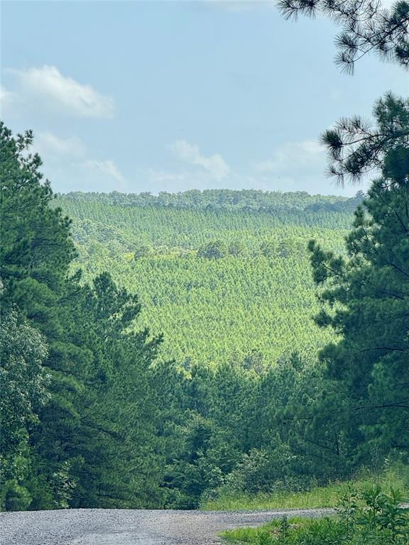 232 Carter Valley Lane