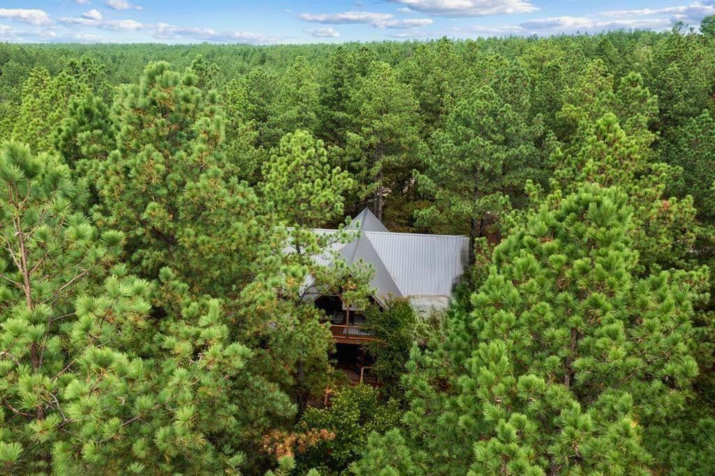 232 Carter Valley Lane