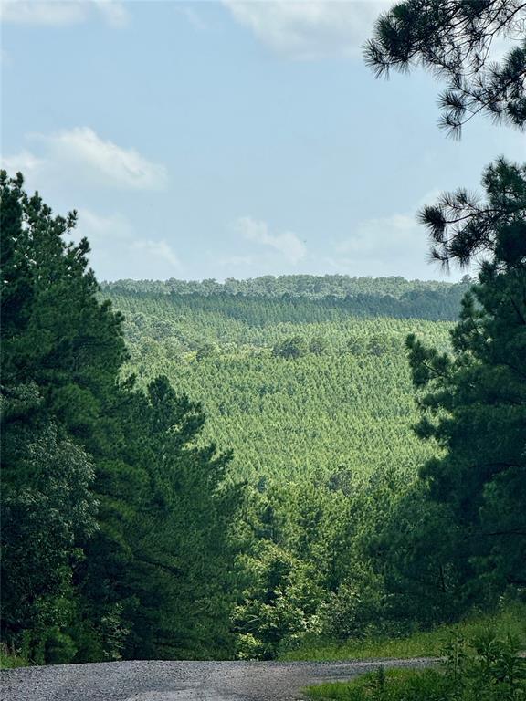 232 Carter Valley Lane