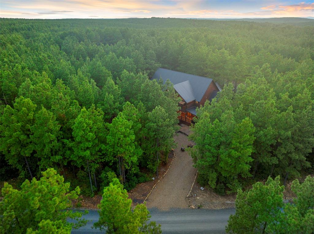 86 Gopher Wood Trail