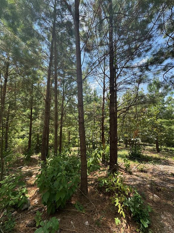 155 Charmed Ridge Lane