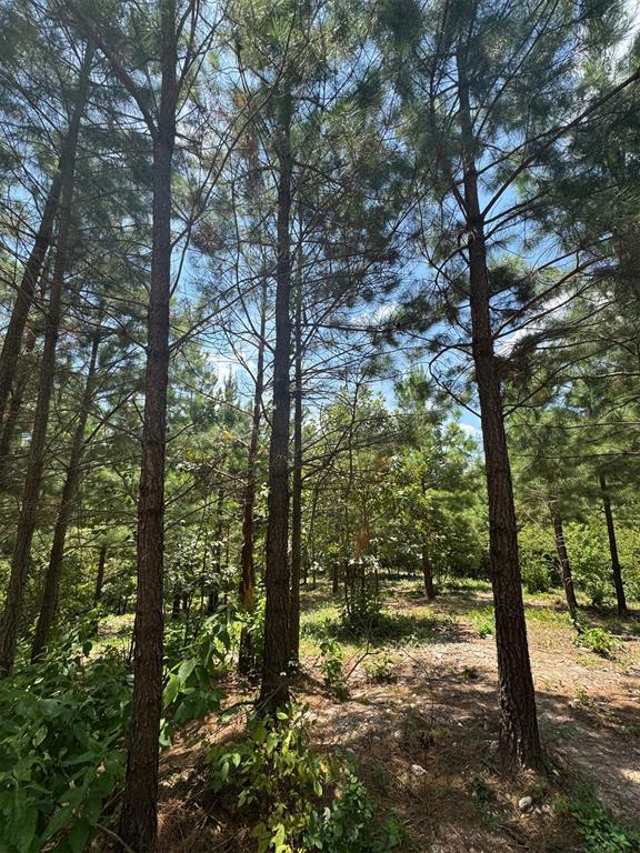 155 Charmed Ridge Lane