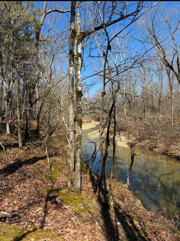 155 Charmed Ridge Lane