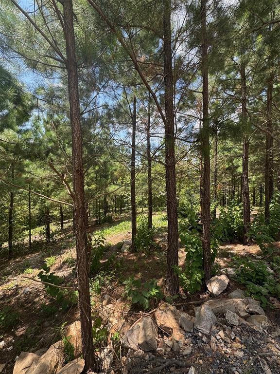 155 Charmed Ridge Lane