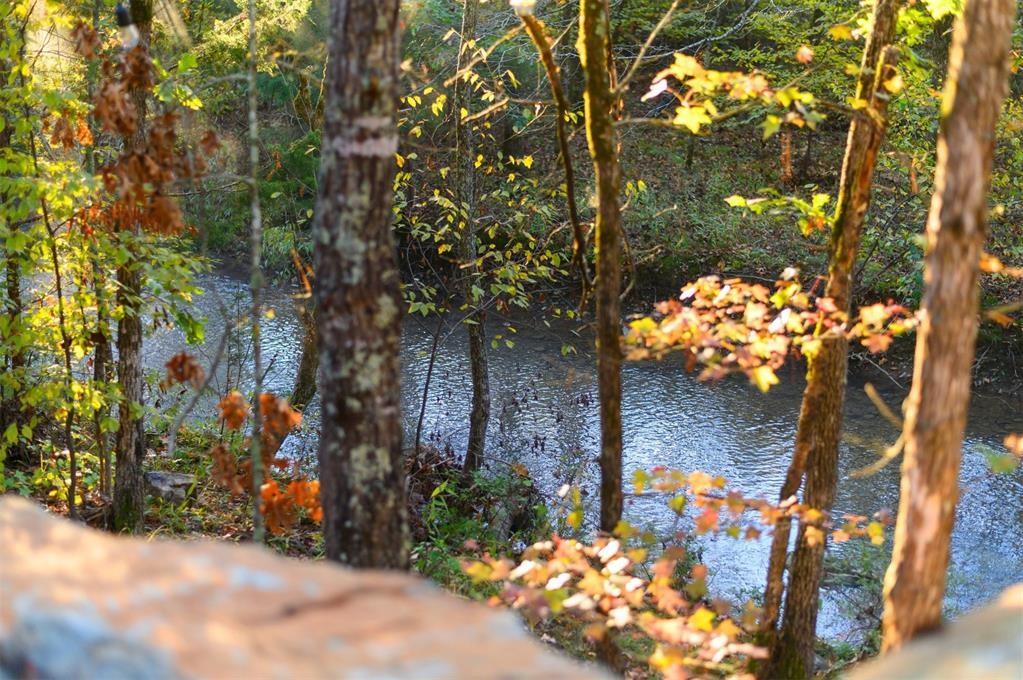 453 Bear Pine Trail