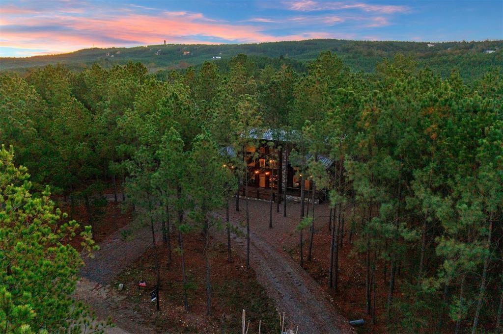 453 Bear Pine Trail