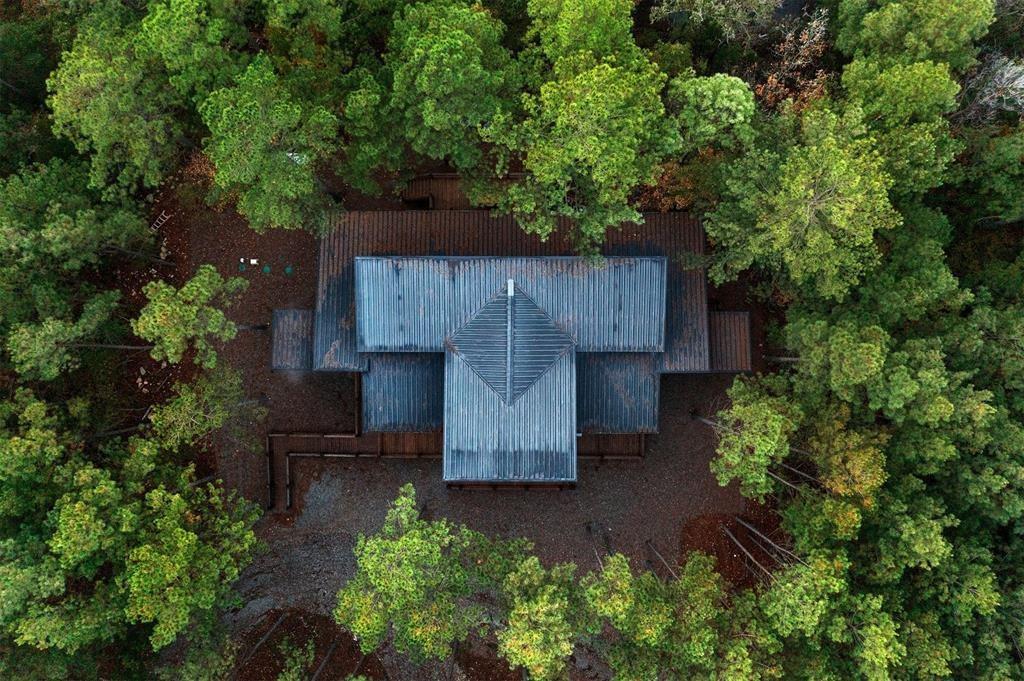 453 Bear Pine Trail
