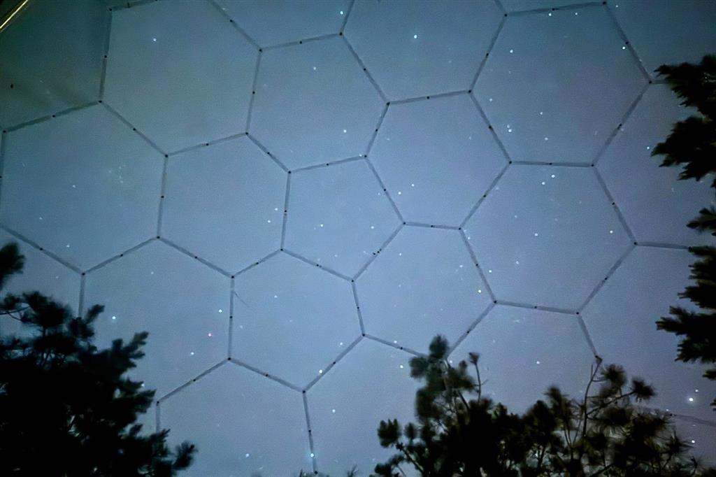 36 Sitca Spruce Trail