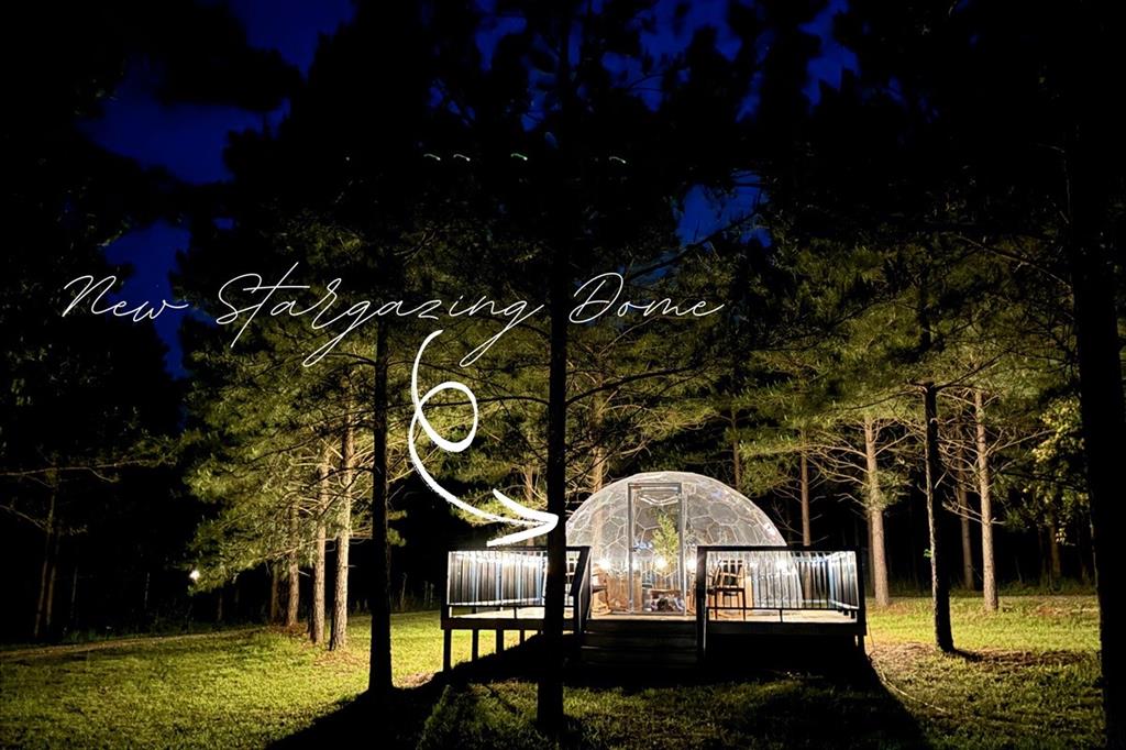 36 Sitca Spruce Trail