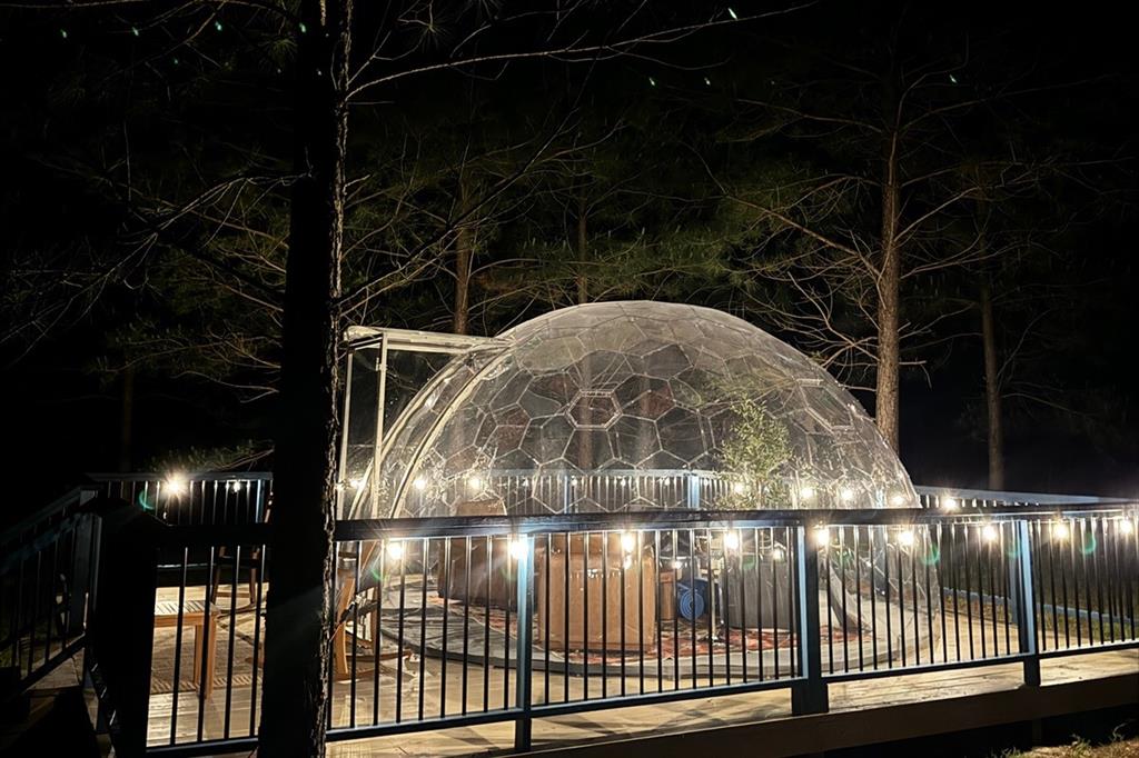 36 Sitca Spruce Trail