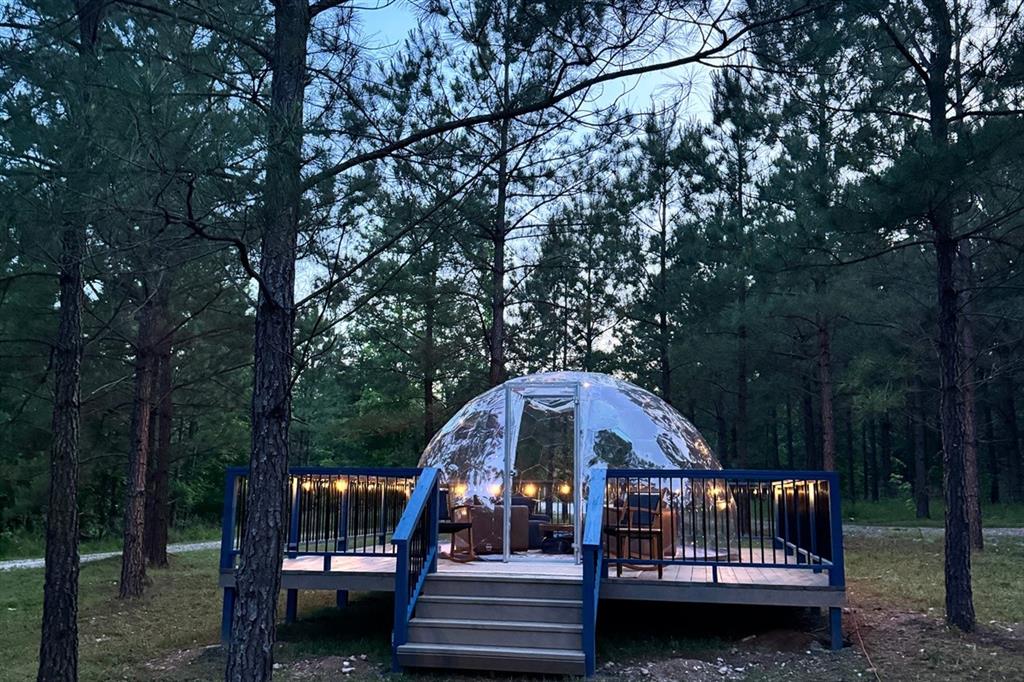 36 Sitca Spruce Trail