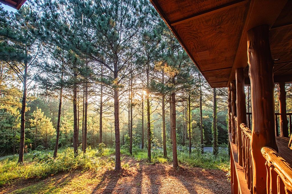 367 Deer Creek Trail