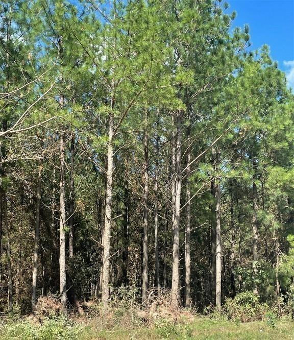 399 Camp Ranch Road
