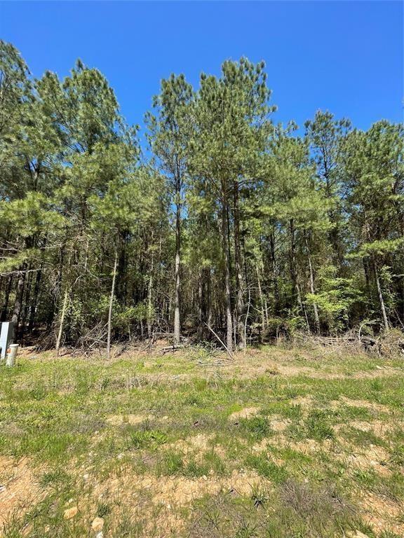 399 Camp Ranch Road