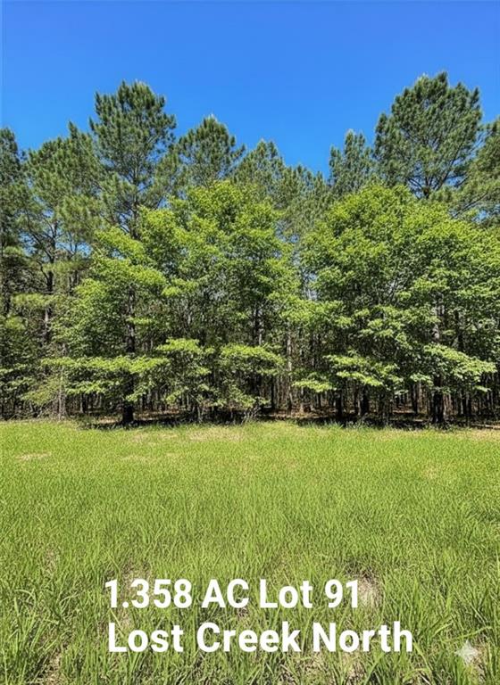 399 Camp Ranch Road
