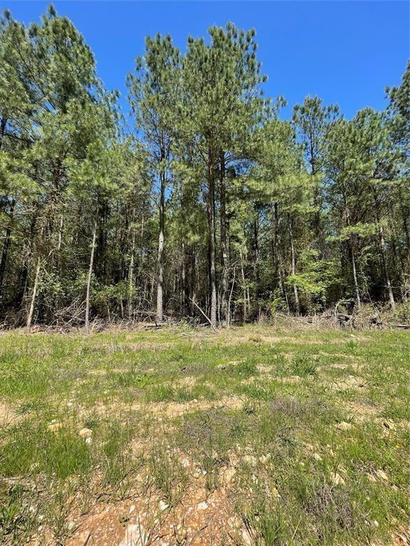 399 Camp Ranch Road