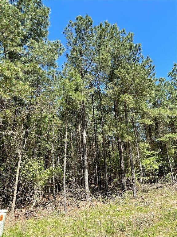399 Camp Ranch Road
