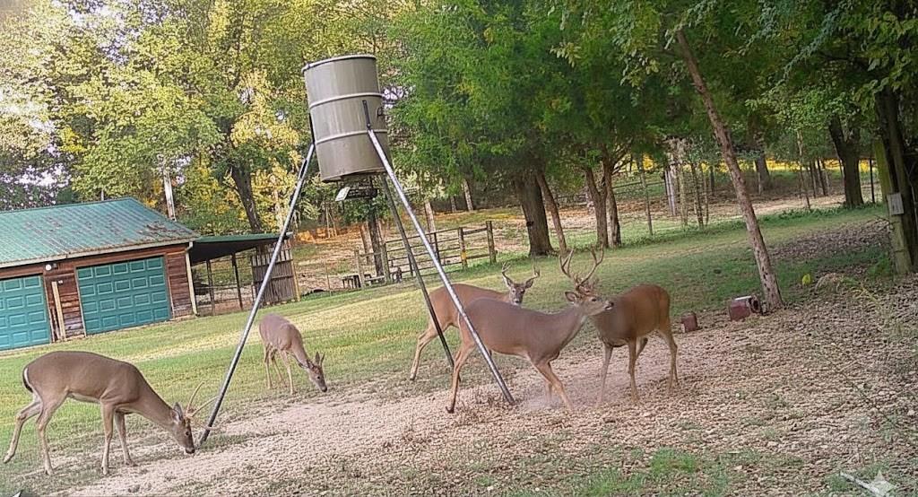 435562 E 1630th Road