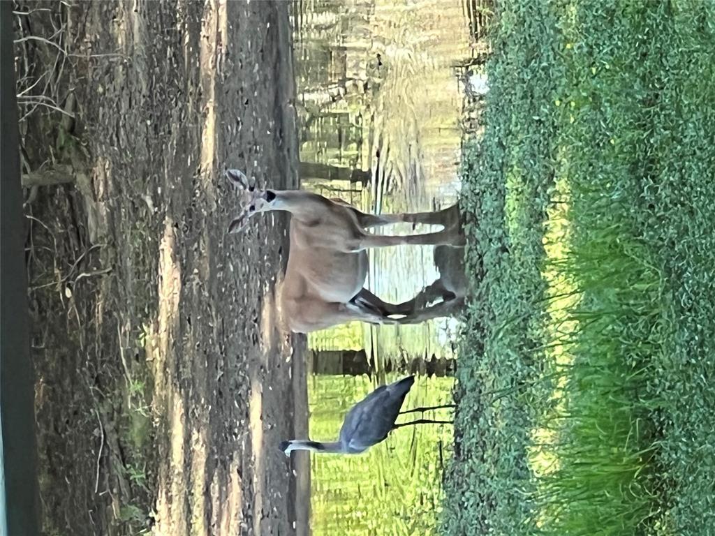 435562 E 1630th Road