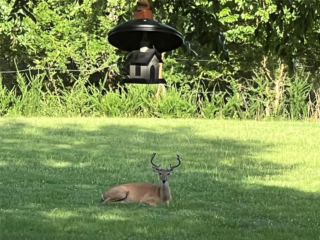 435562 E 1630th Road