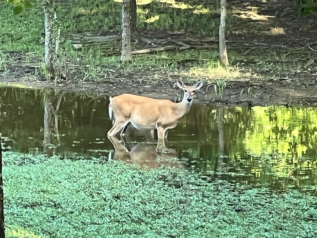 435562 E 1630th Road