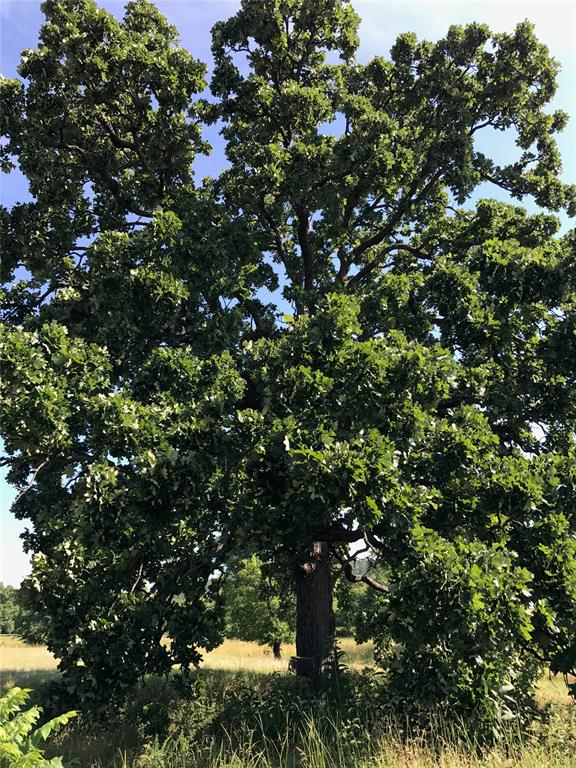 44405 Us Highway 271