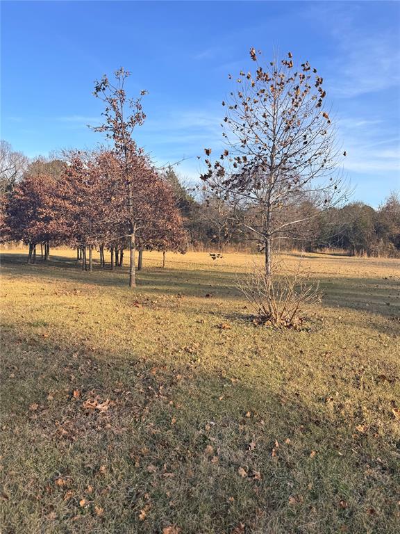 44405 Us Highway 271