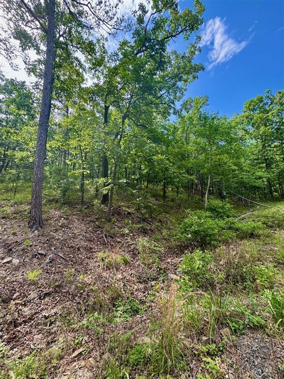 143 Western Cedar Trail