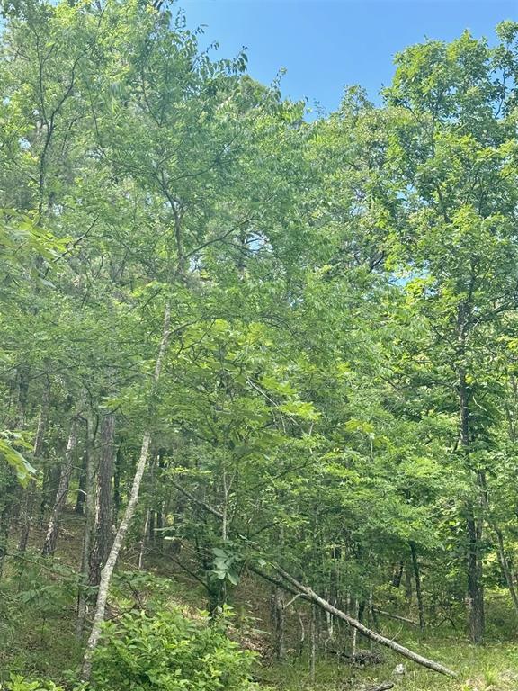 143 Western Cedar Trail