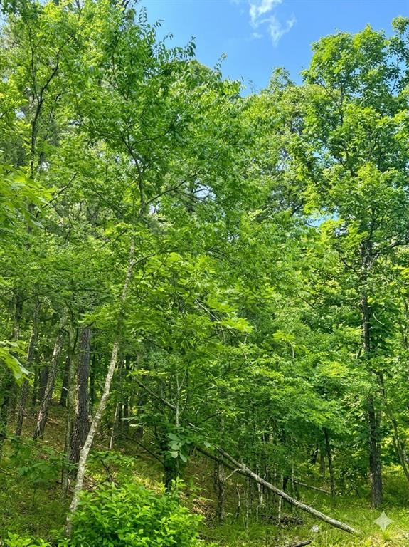 143 Western Cedar Trail