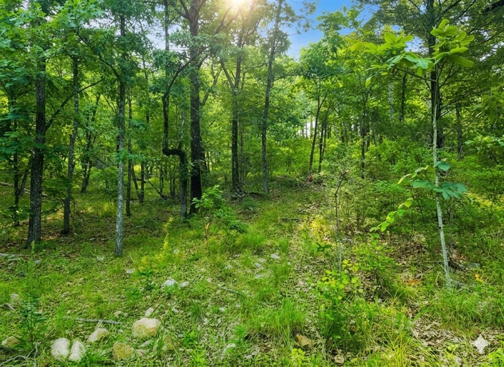 143 Western Cedar Trail