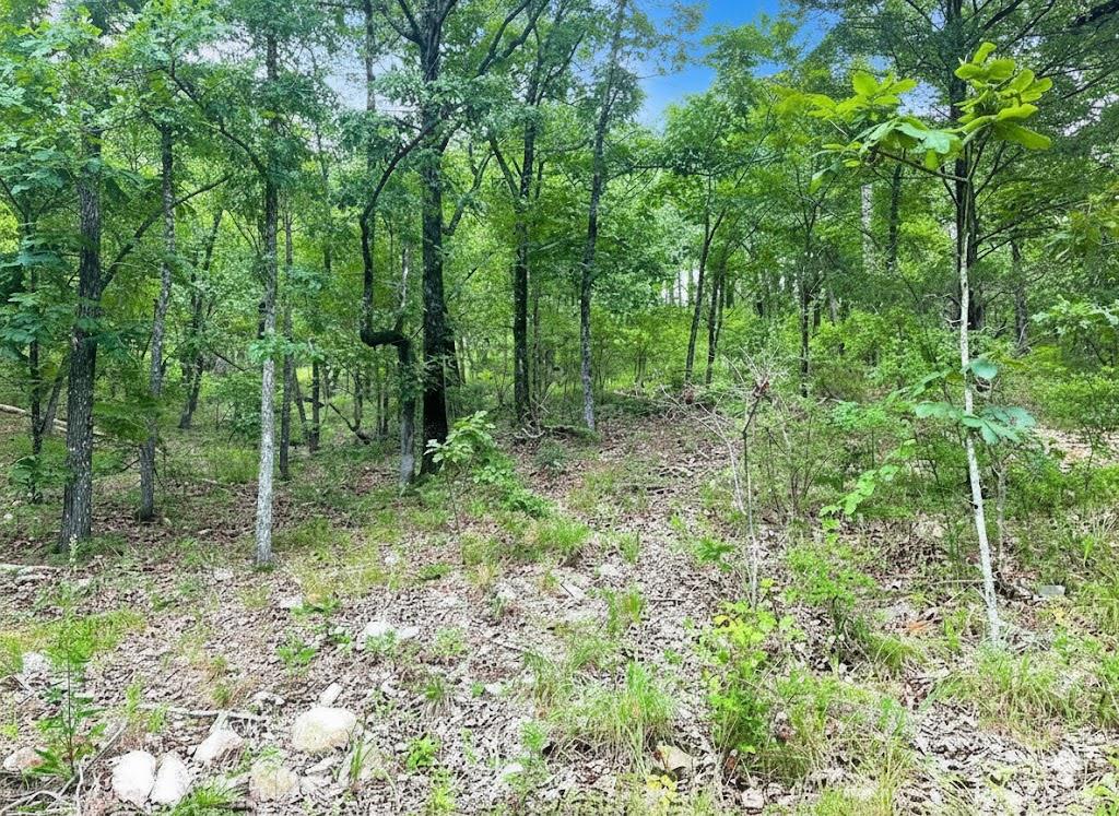 143 Western Cedar Trail