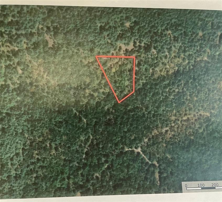 143 Western Cedar Trail