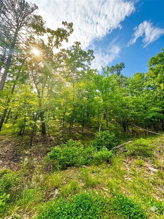 143 Western Cedar Trail