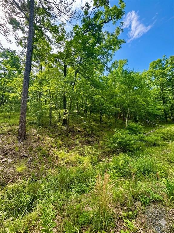 143 Western Cedar Trail