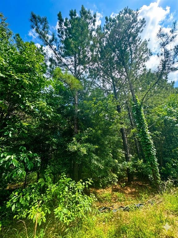 96 Hochapine Trail
