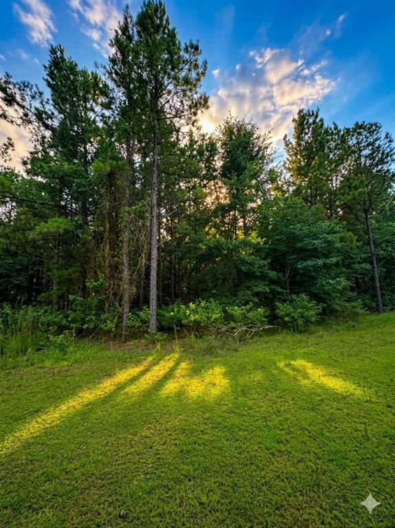 96 Hochapine Trail