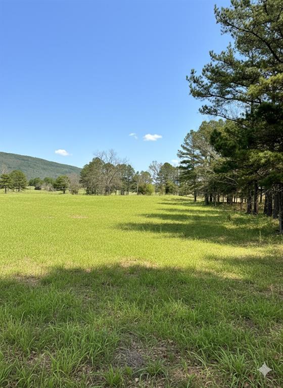 8828 SE HWY-63
