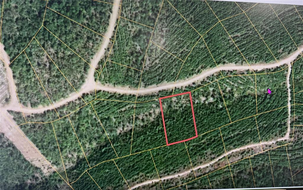 836 Timberline Trail