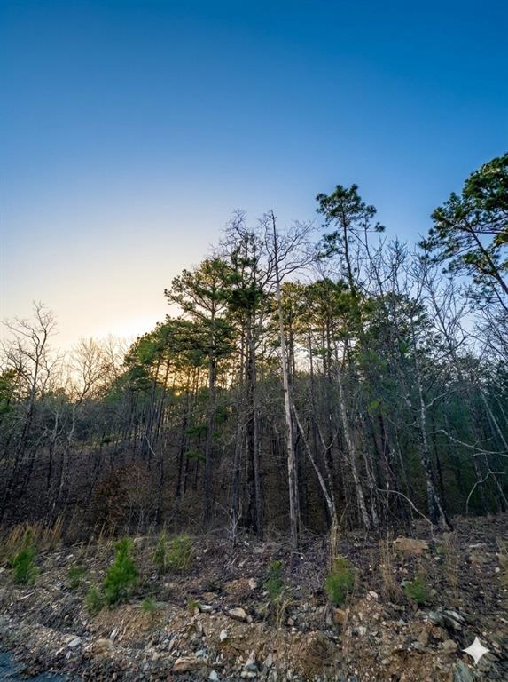 63 Western Cedar Trail