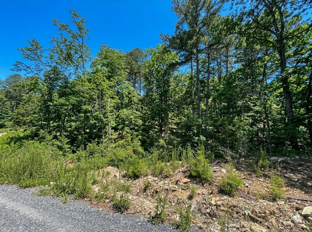 63 Western Cedar Trail