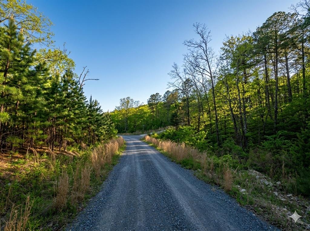 63 Western Cedar Trail