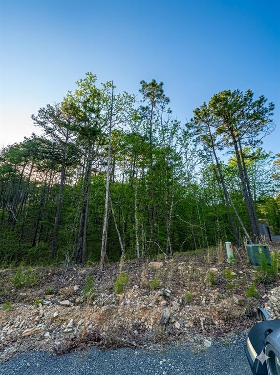 63 Western Cedar Trail