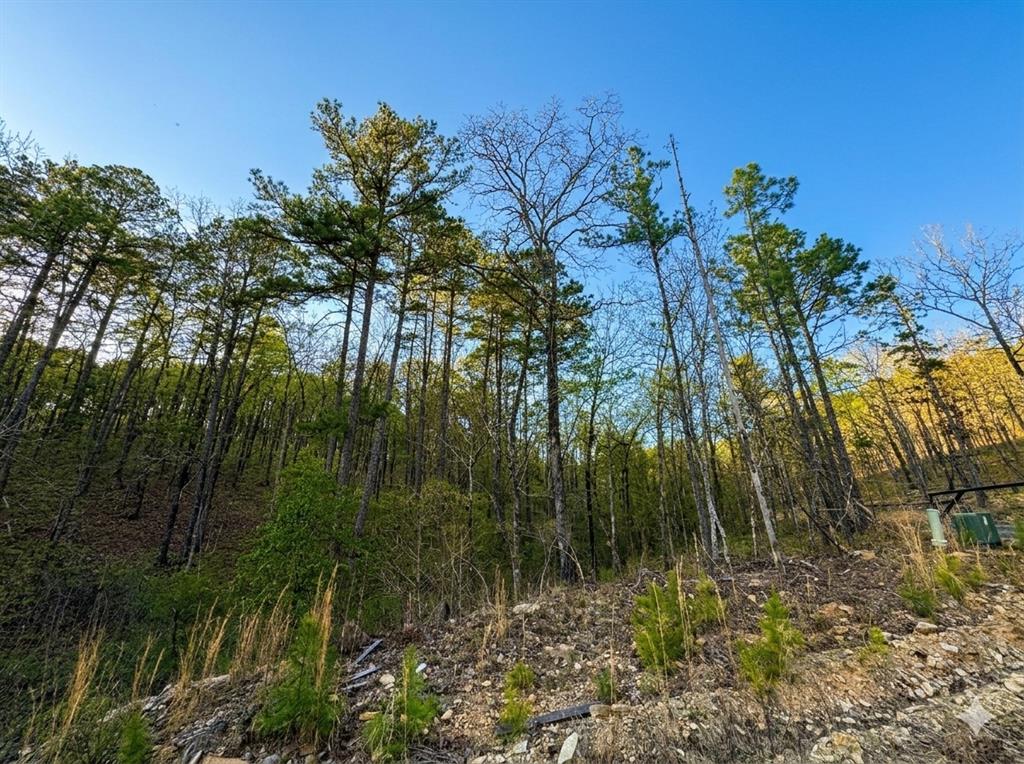 63 Western Cedar Trail